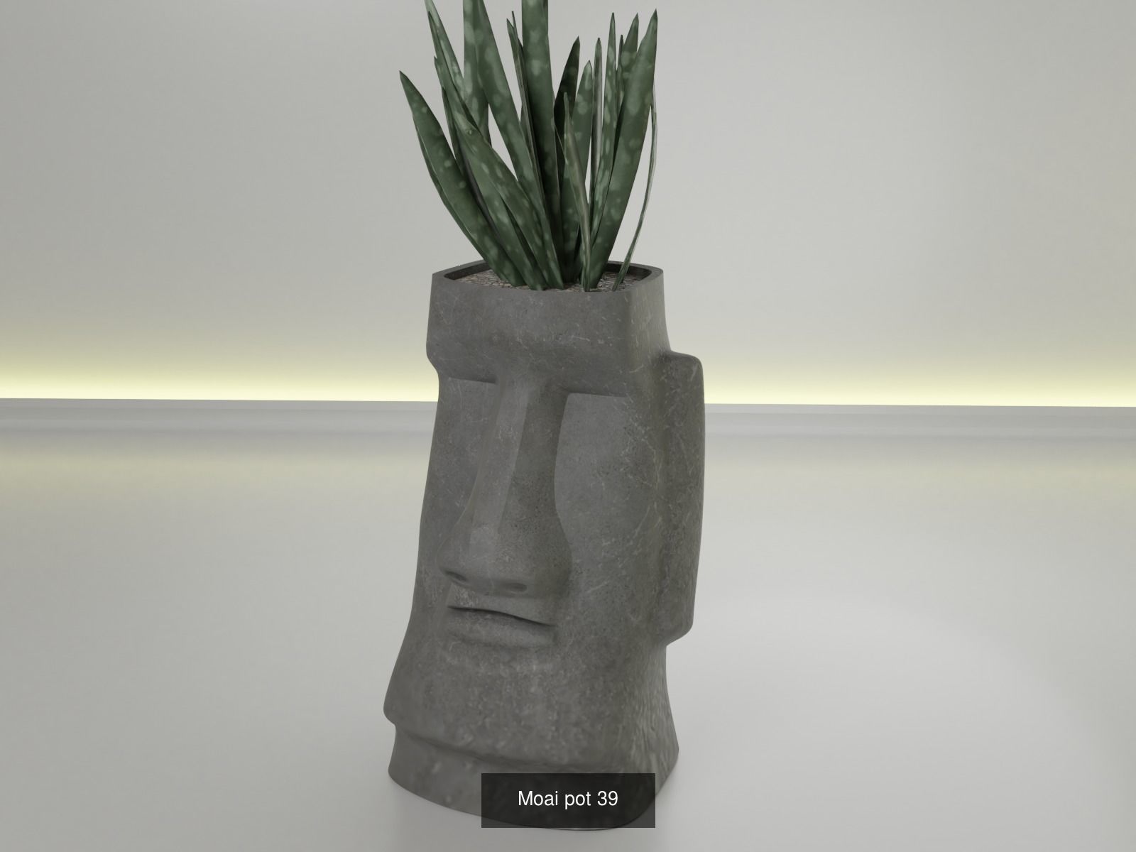 100 plant pot colection 3D Model Collection_53