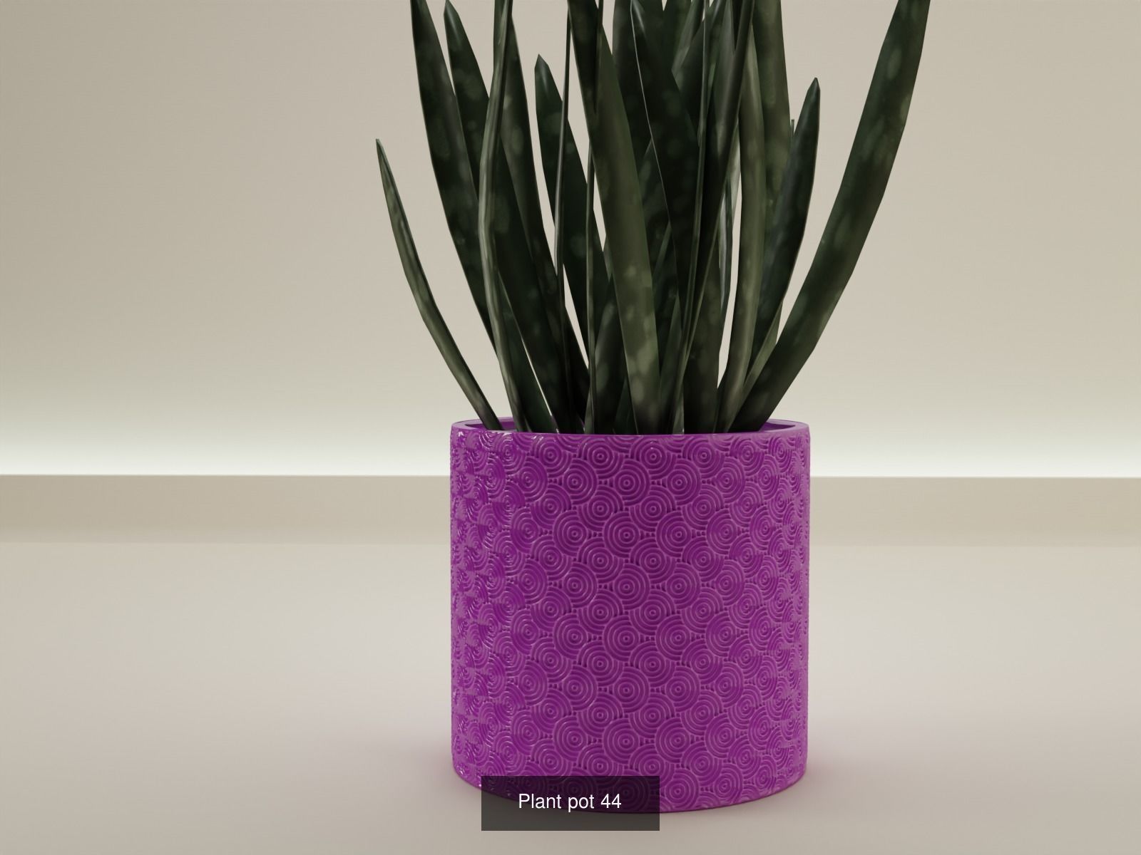 100 plant pot colection 3D Model Collection_58