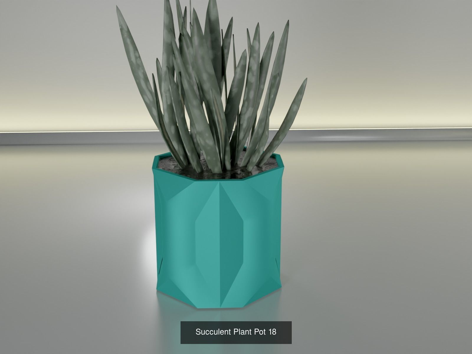100 plant pot colection 3D Model Collection_32