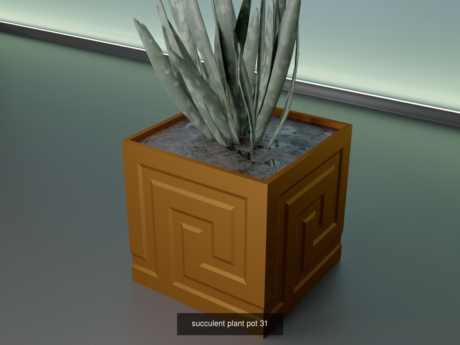 100 plant pot colection 3D Model Collection_44