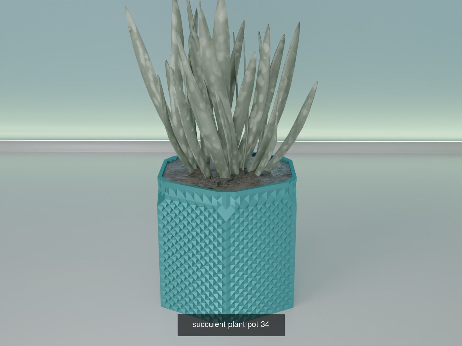 100 plant pot colection 3D Model Collection_48