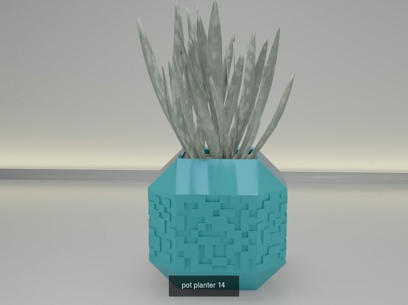 100 plant pot colection 3D Model Collection_28