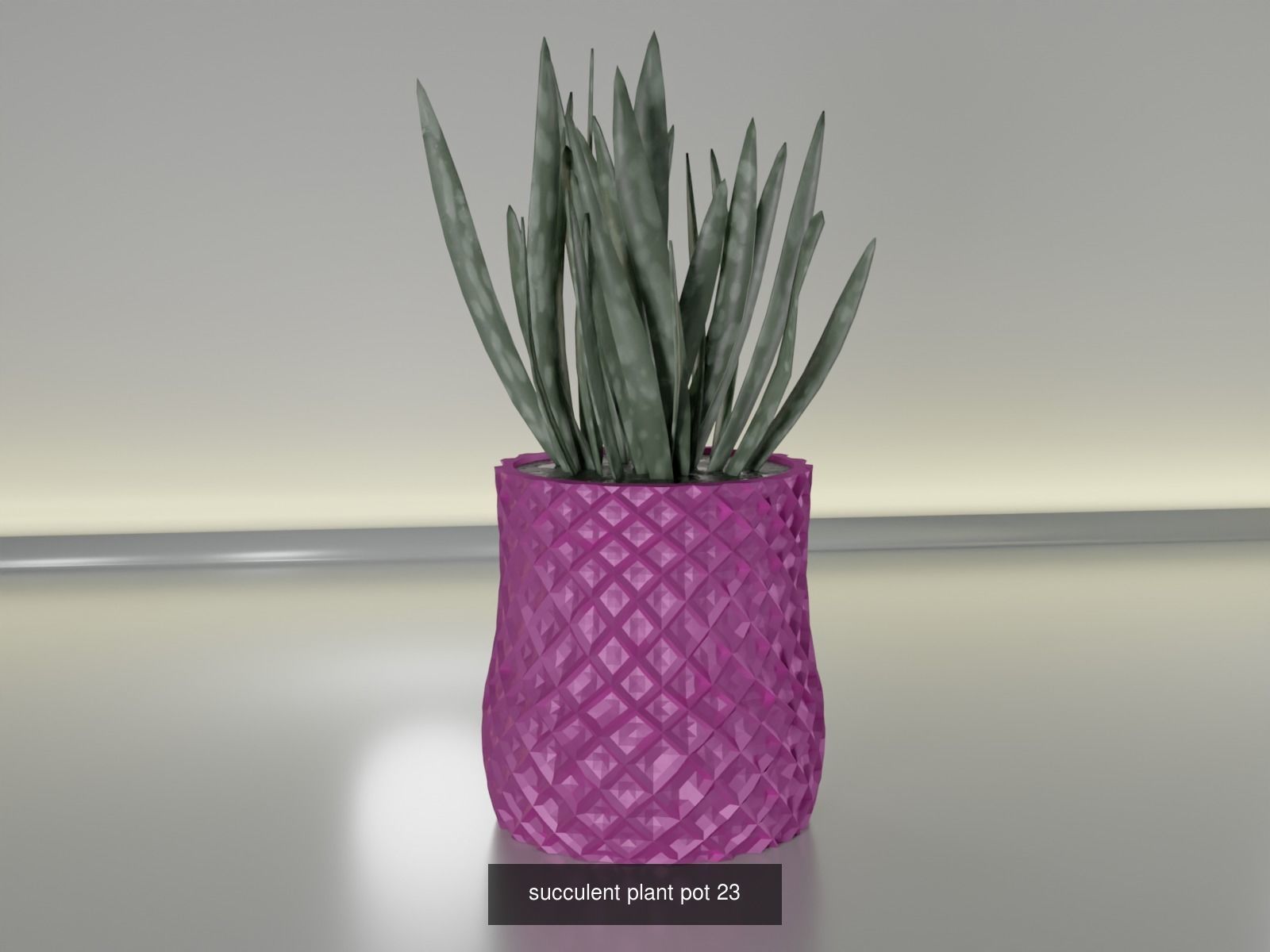 100 plant pot colection 3D Model Collection_36