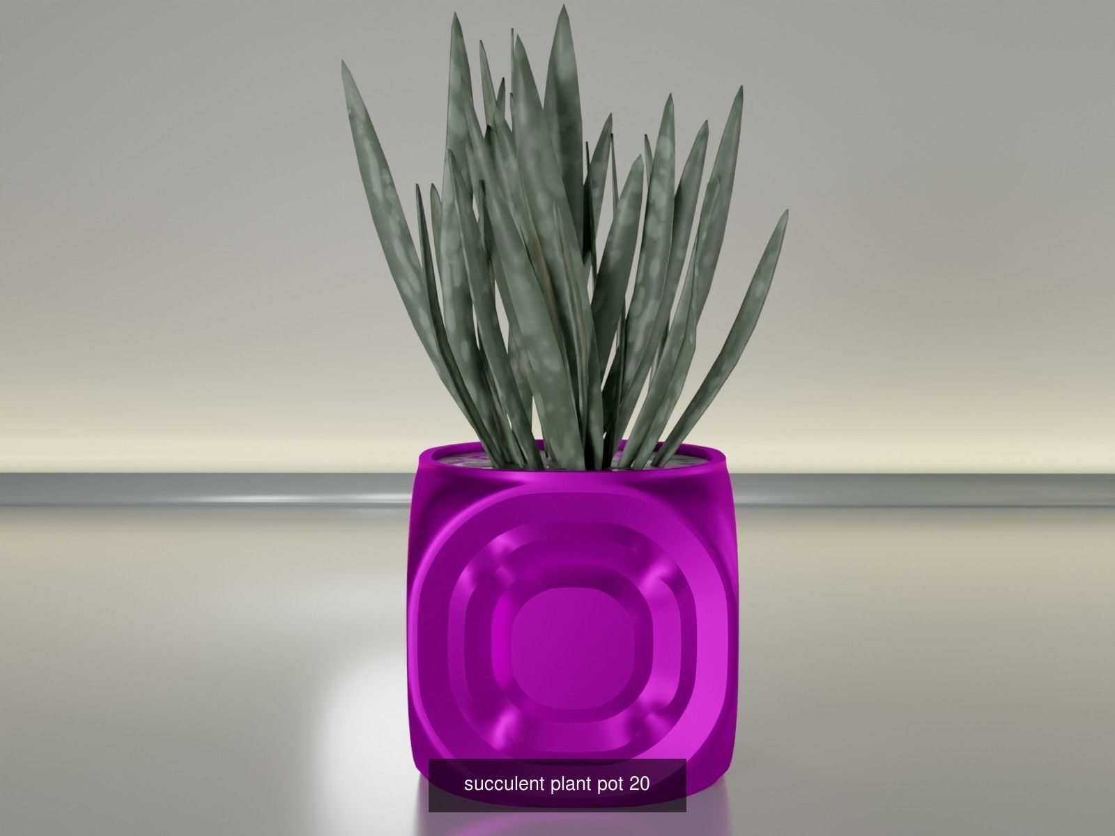 100 plant pot colection 3D Model Collection_34