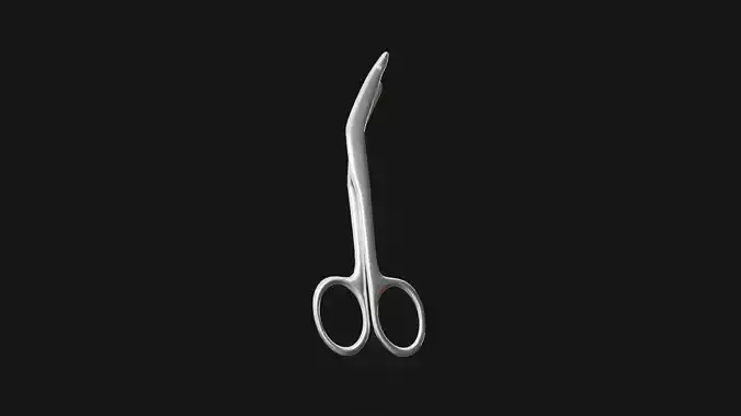 Plaster Scissors