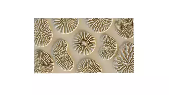 mural decor set wall panel 14