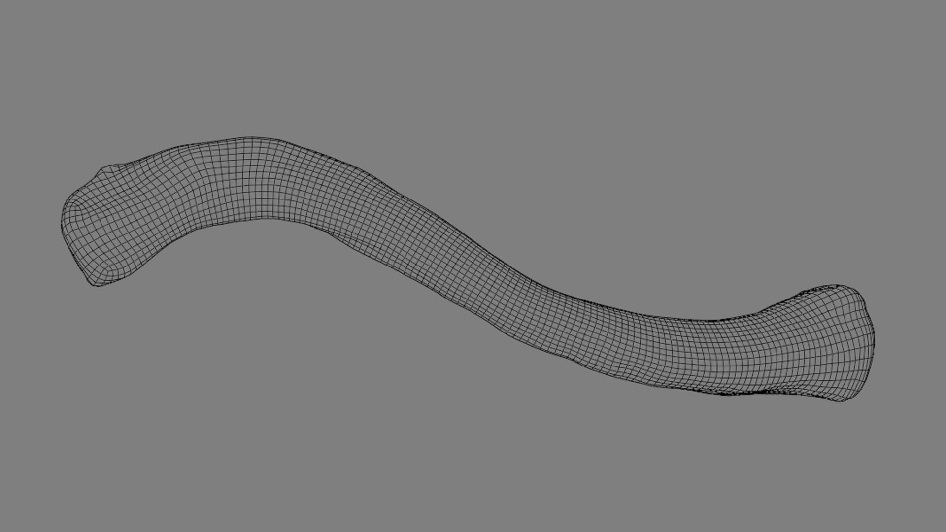Ligaments of the shoulder joint 3D model_10