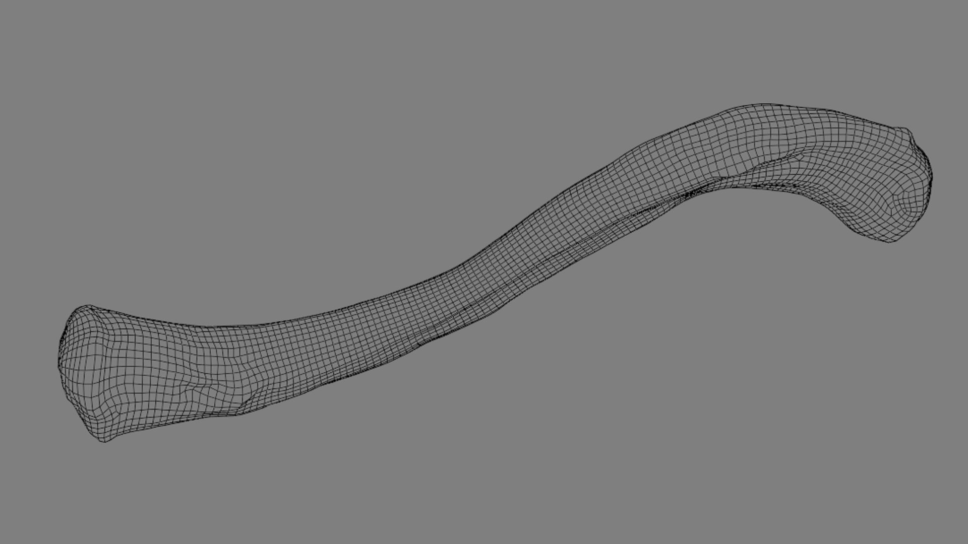 Ligaments of the shoulder joint 3D model_11