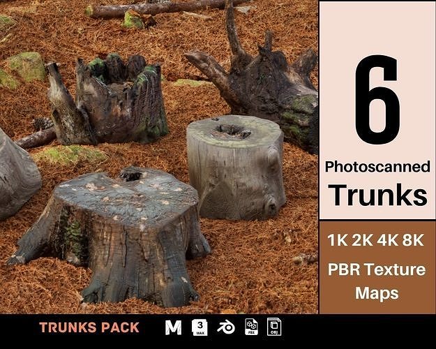 Trunk Pack Photoscanned Trunks 6 Low-poly  Low-poly 3D model