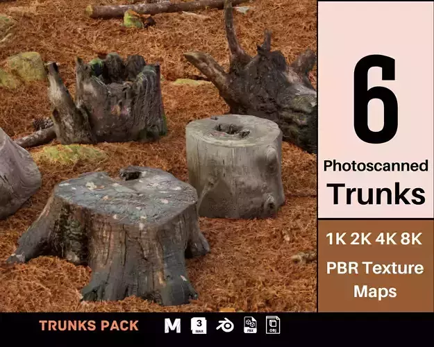 Trunk Pack Photoscanned Trunks 6 Low-poly 