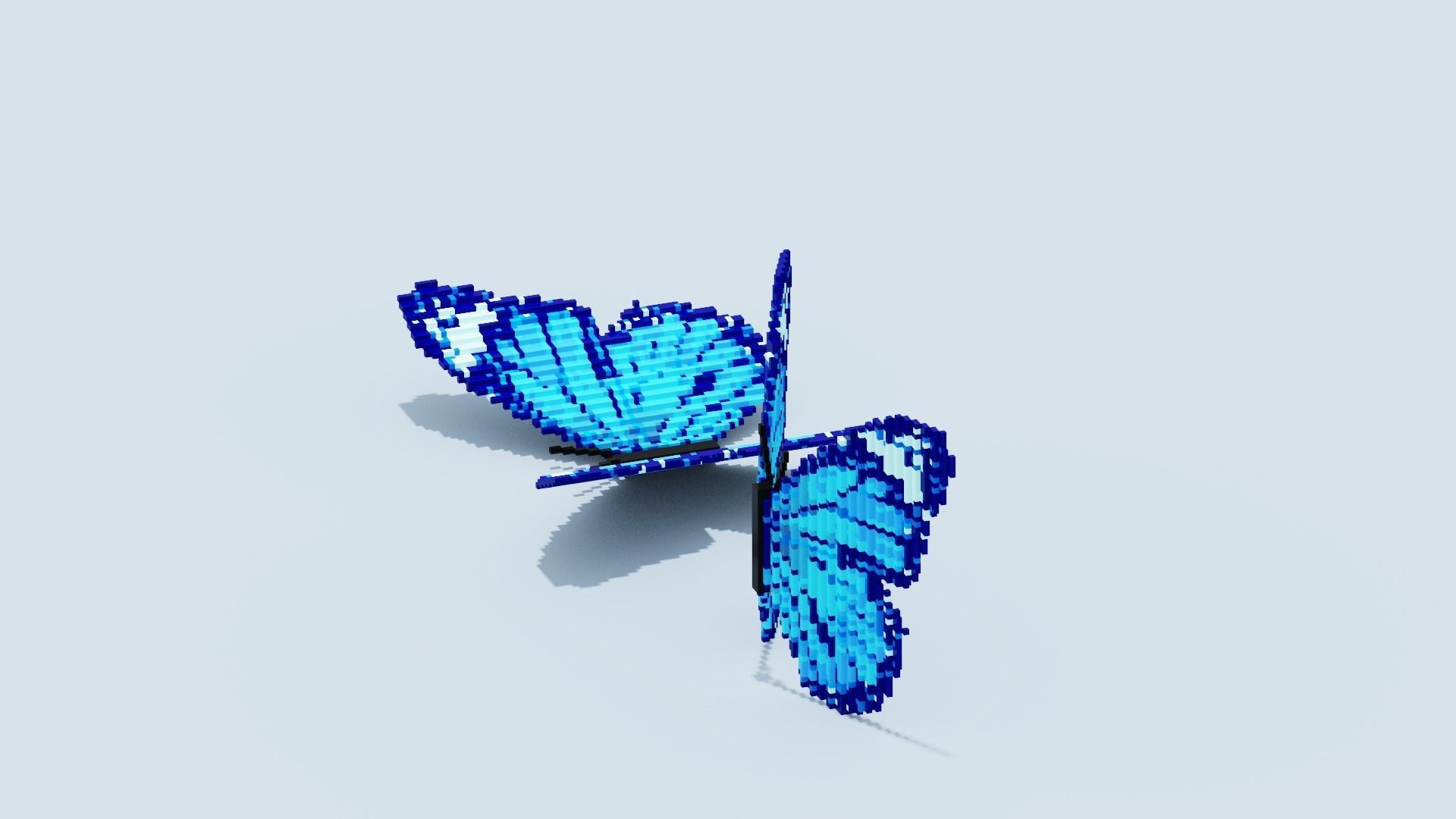Blue Butterfly Low-poly 3D model_16