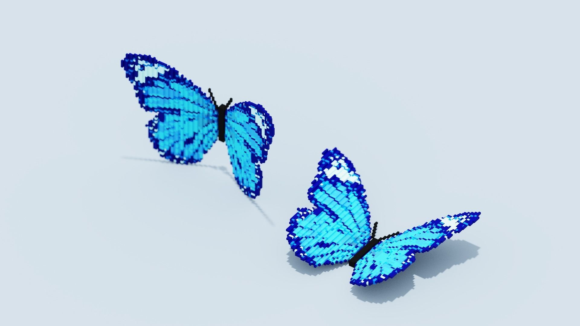 Blue Butterfly Low-poly 3D model_8