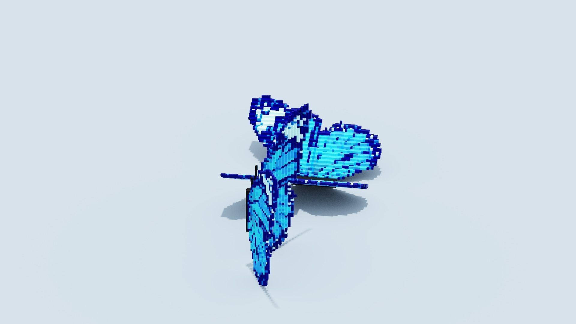 Blue Butterfly Low-poly 3D model_17