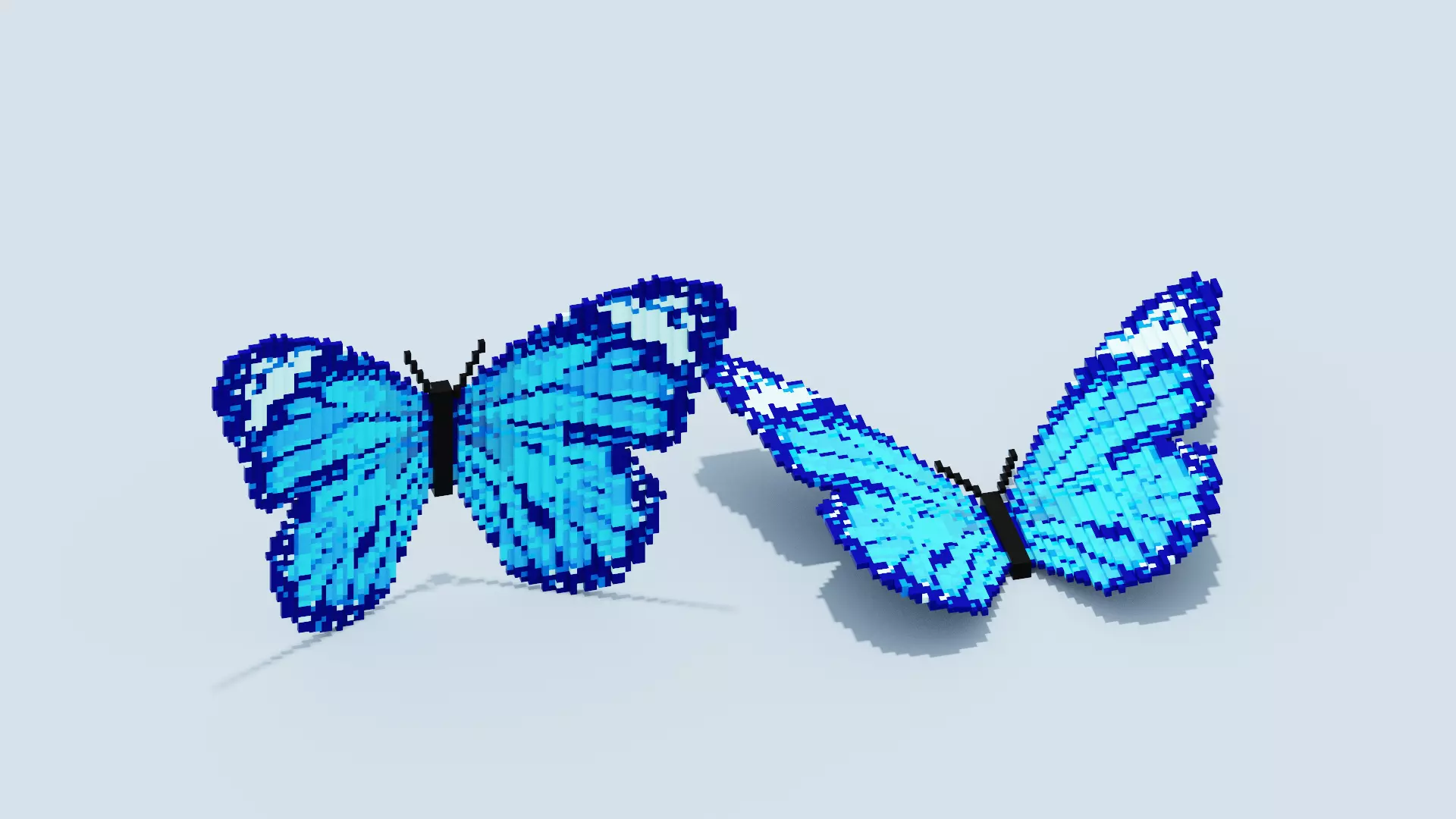 Blue Butterfly Low-poly 3D model_0