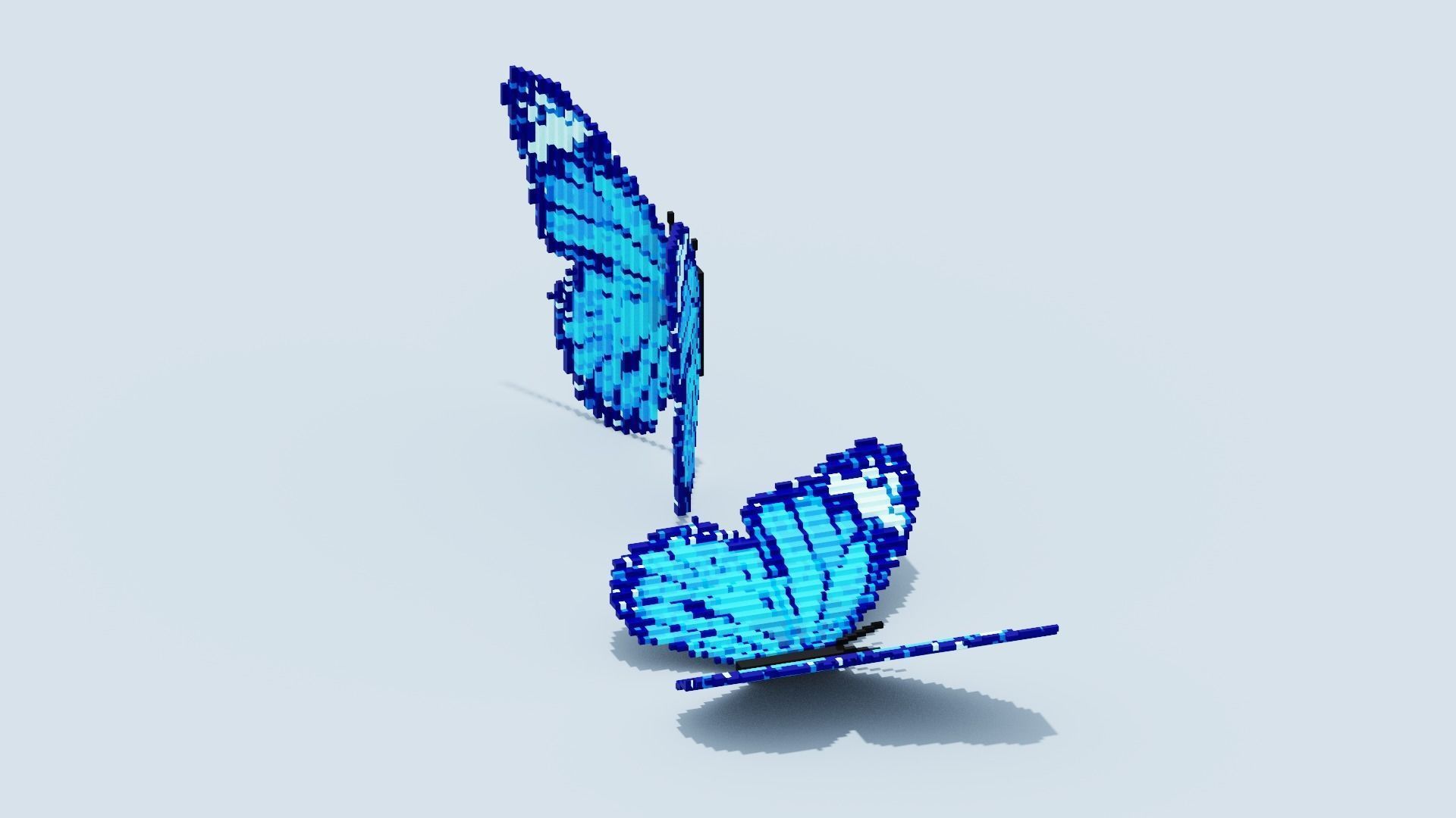 Blue Butterfly Low-poly 3D model_10