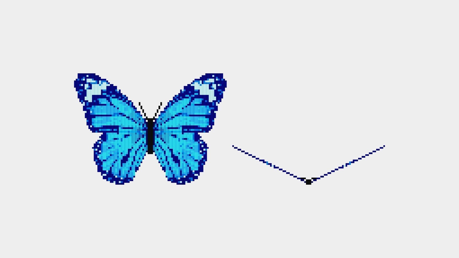 Blue Butterfly Low-poly 3D model_6