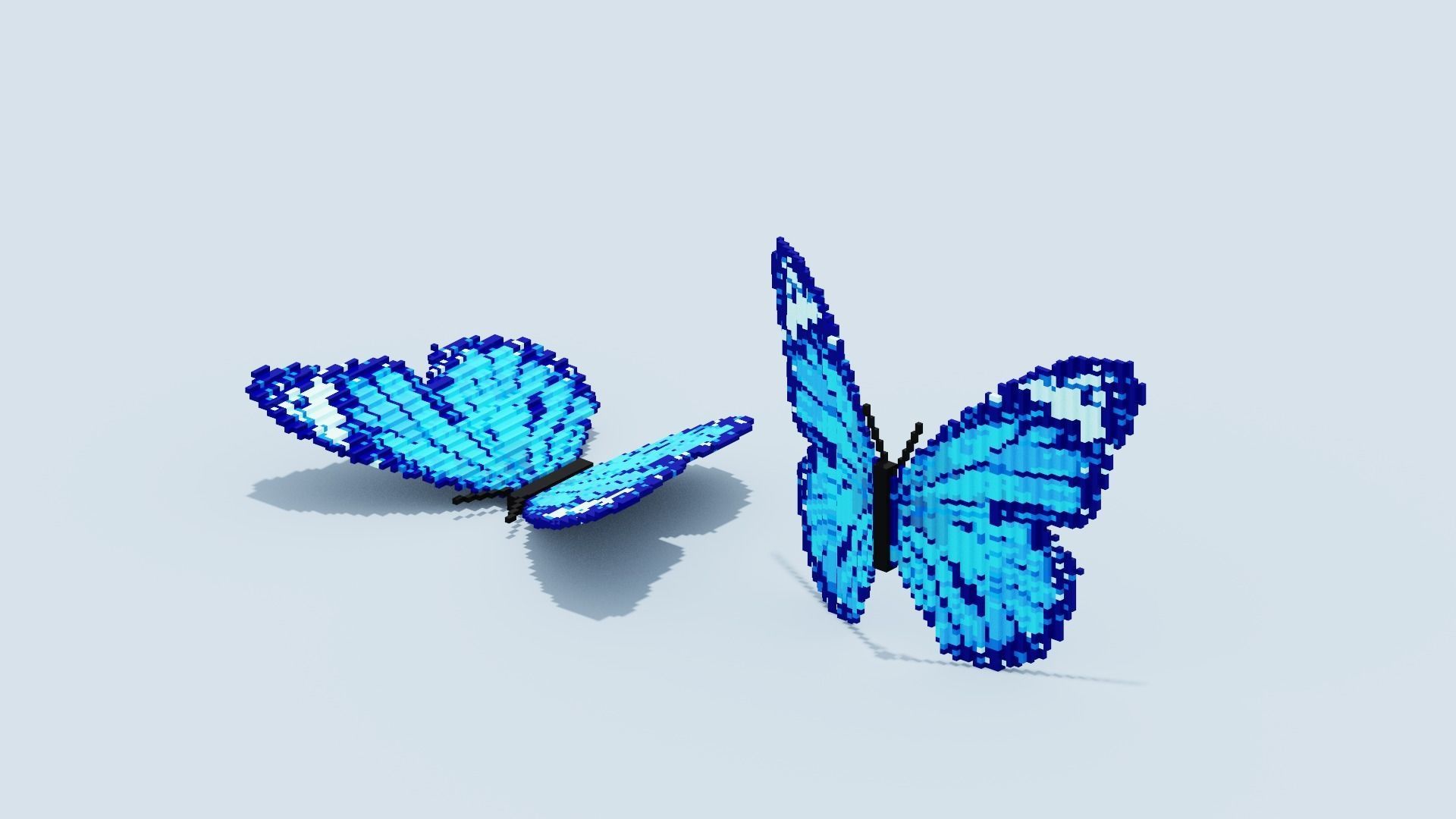Blue Butterfly Low-poly 3D model_15