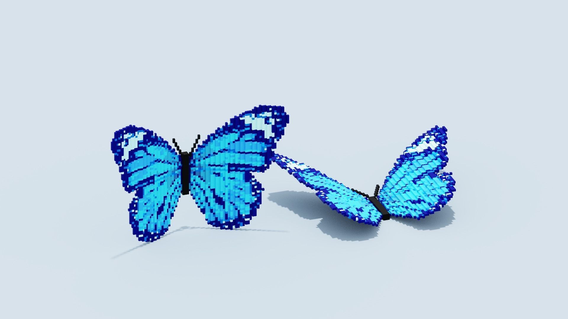 Blue Butterfly Low-poly 3D model_5