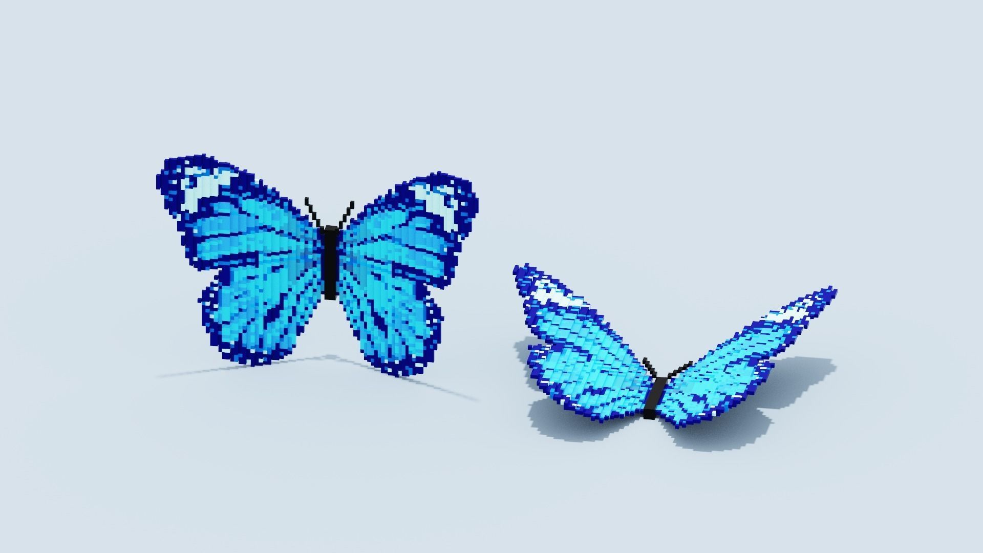 Blue Butterfly Low-poly 3D model_3