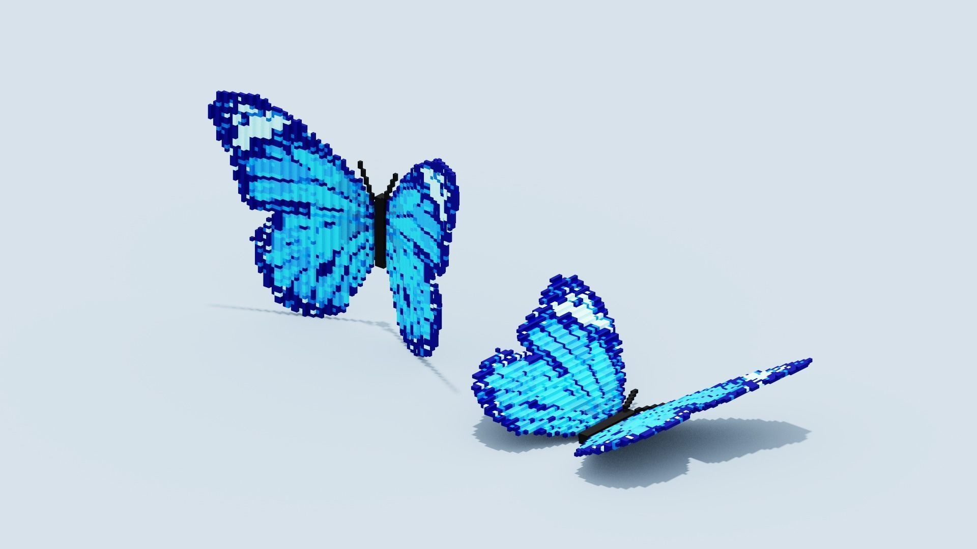 Blue Butterfly Low-poly 3D model_4