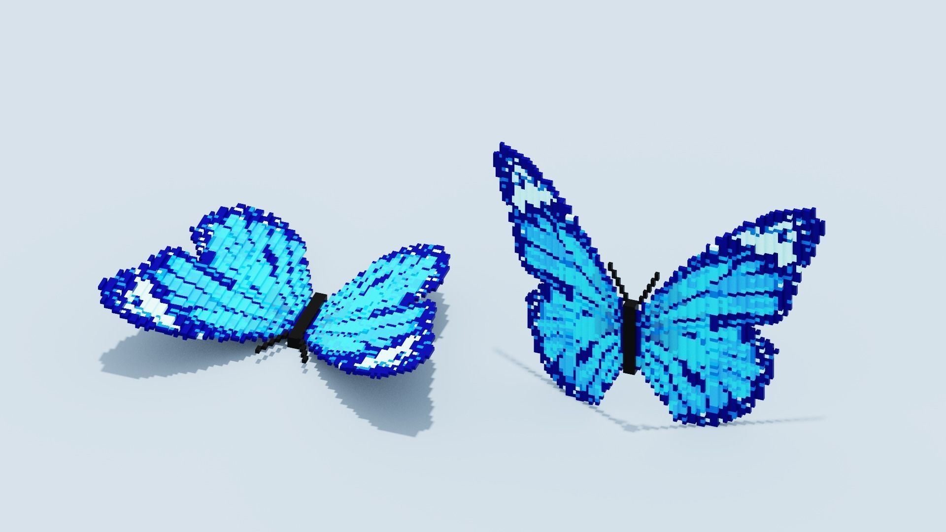 Blue Butterfly Low-poly 3D model_9