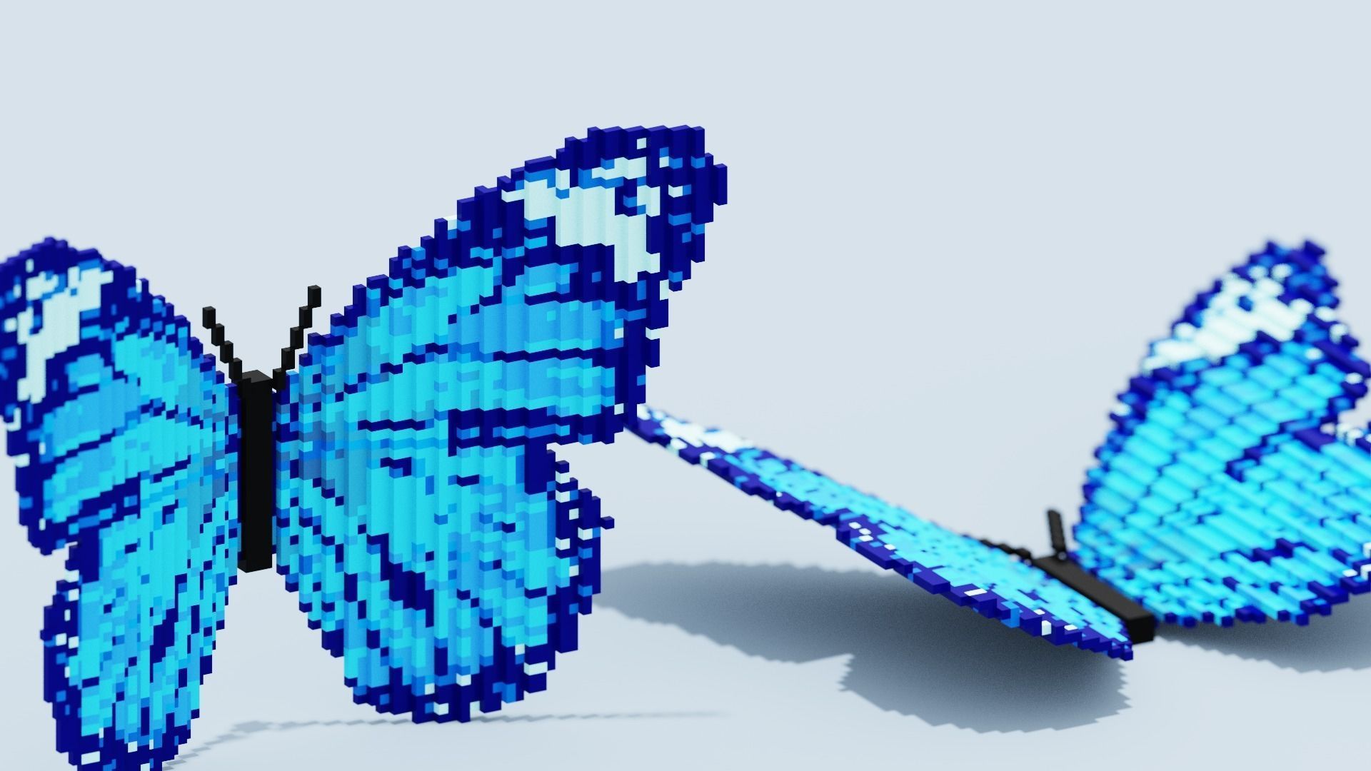 Blue Butterfly Low-poly 3D model_1