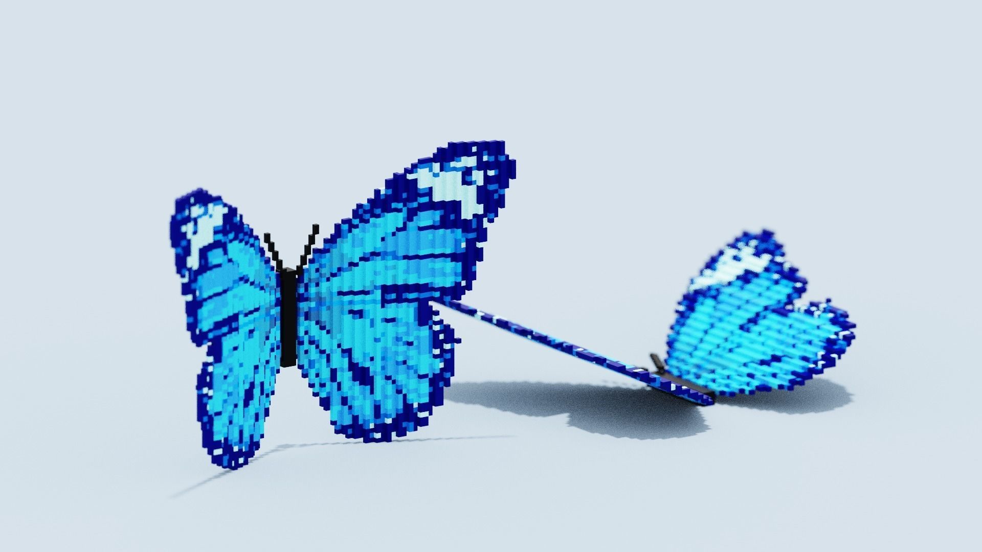 Blue Butterfly Low-poly 3D model_7