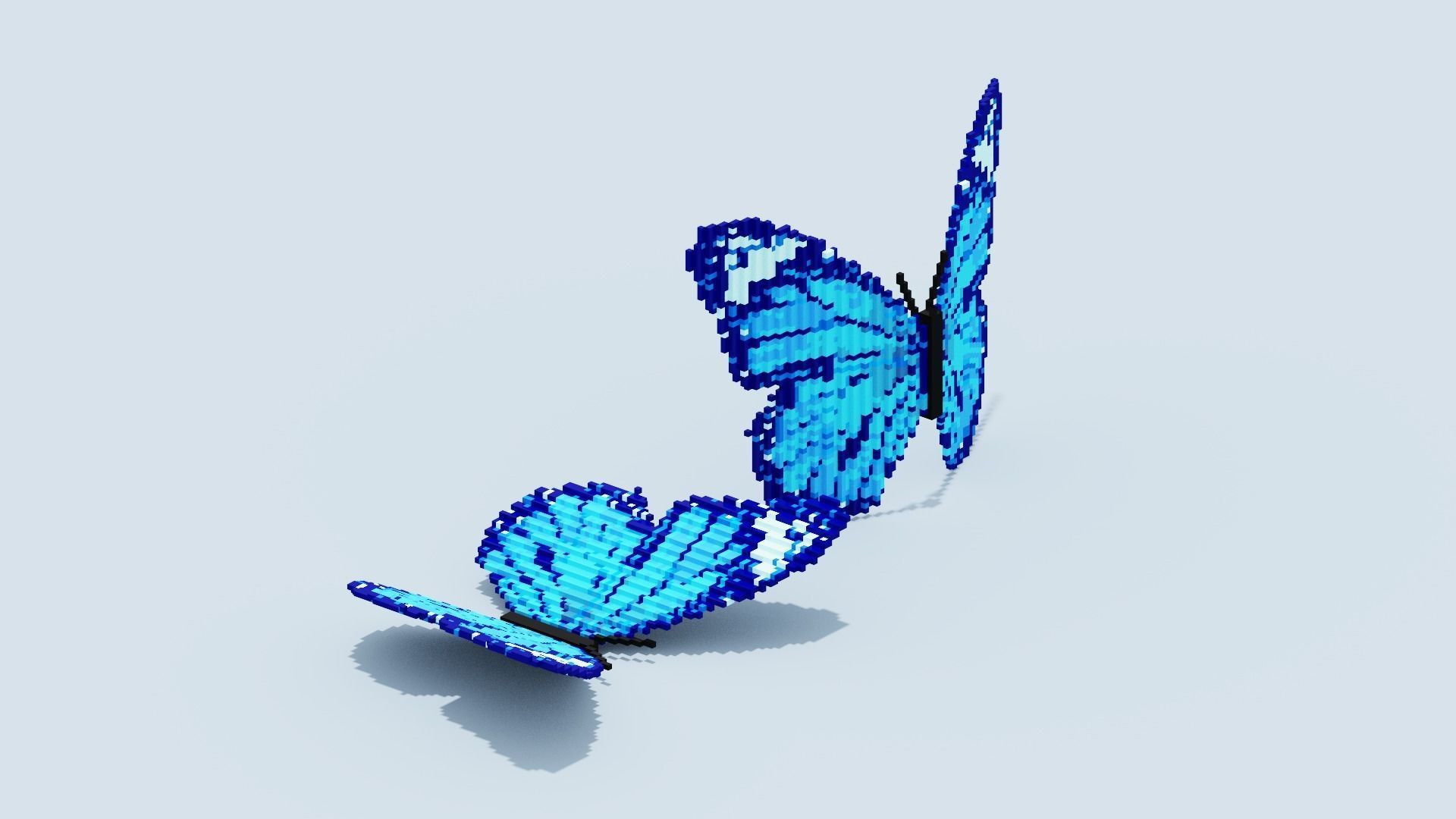 Blue Butterfly Low-poly 3D model_12