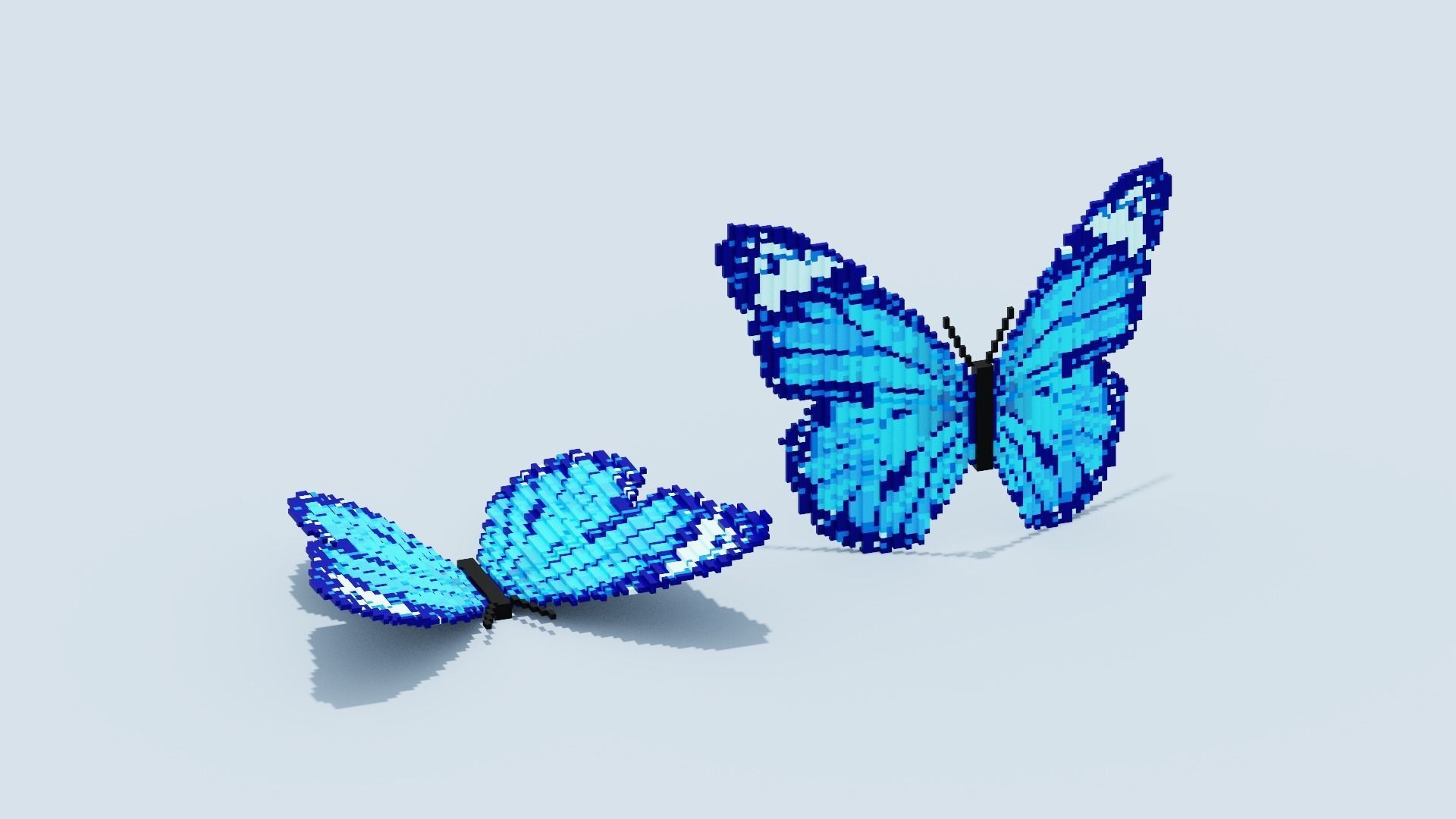 Blue Butterfly Low-poly 3D model_13