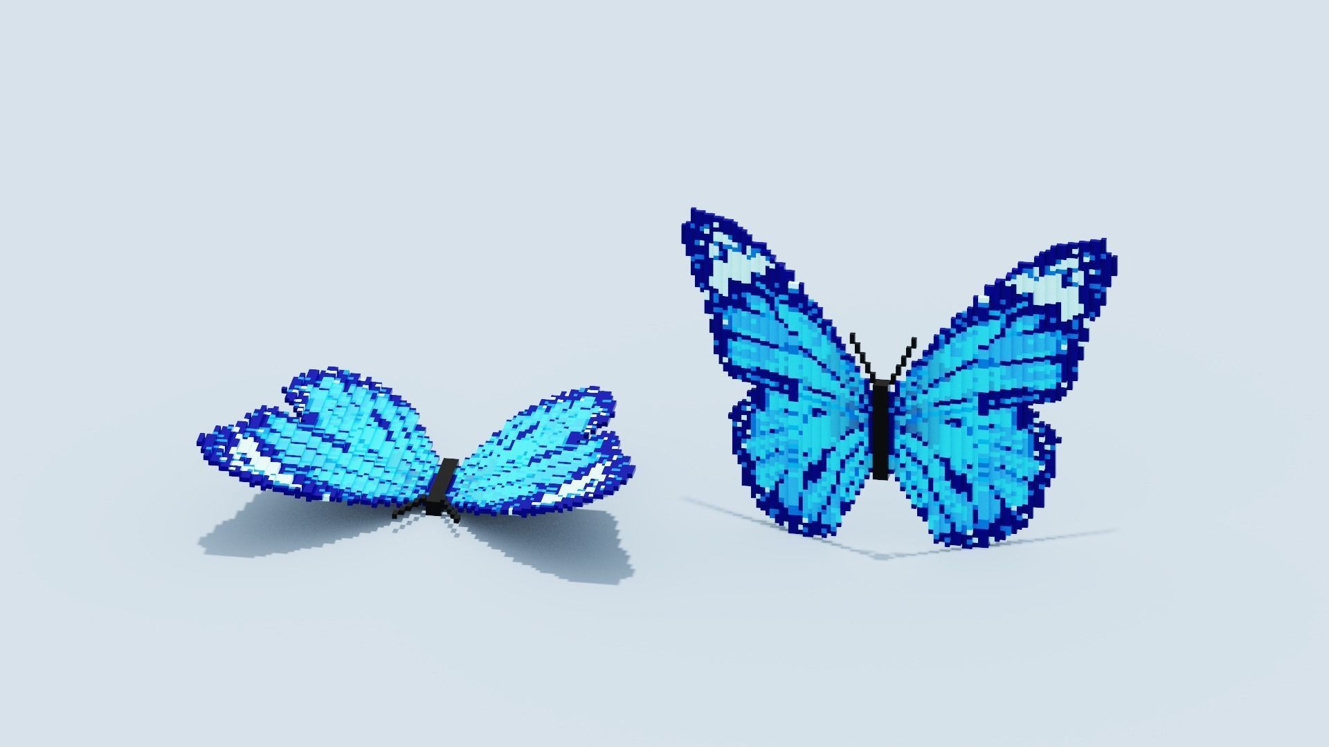 Blue Butterfly Low-poly 3D model_14