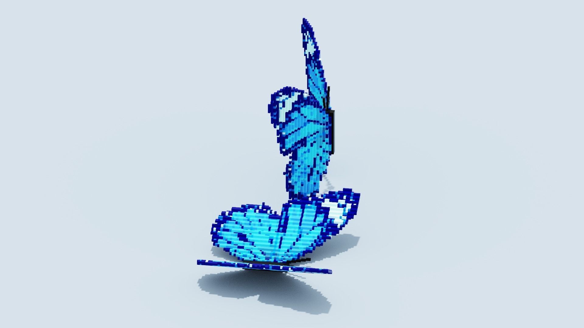Blue Butterfly Low-poly 3D model_11