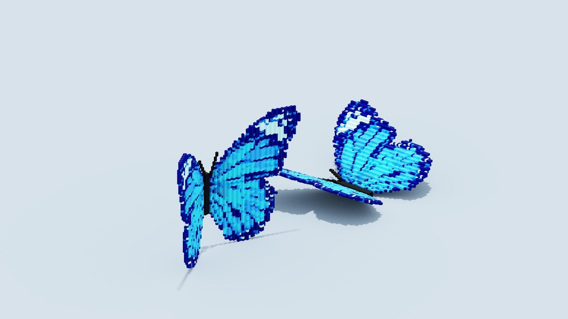 Blue Butterfly Low-poly 3D model_18