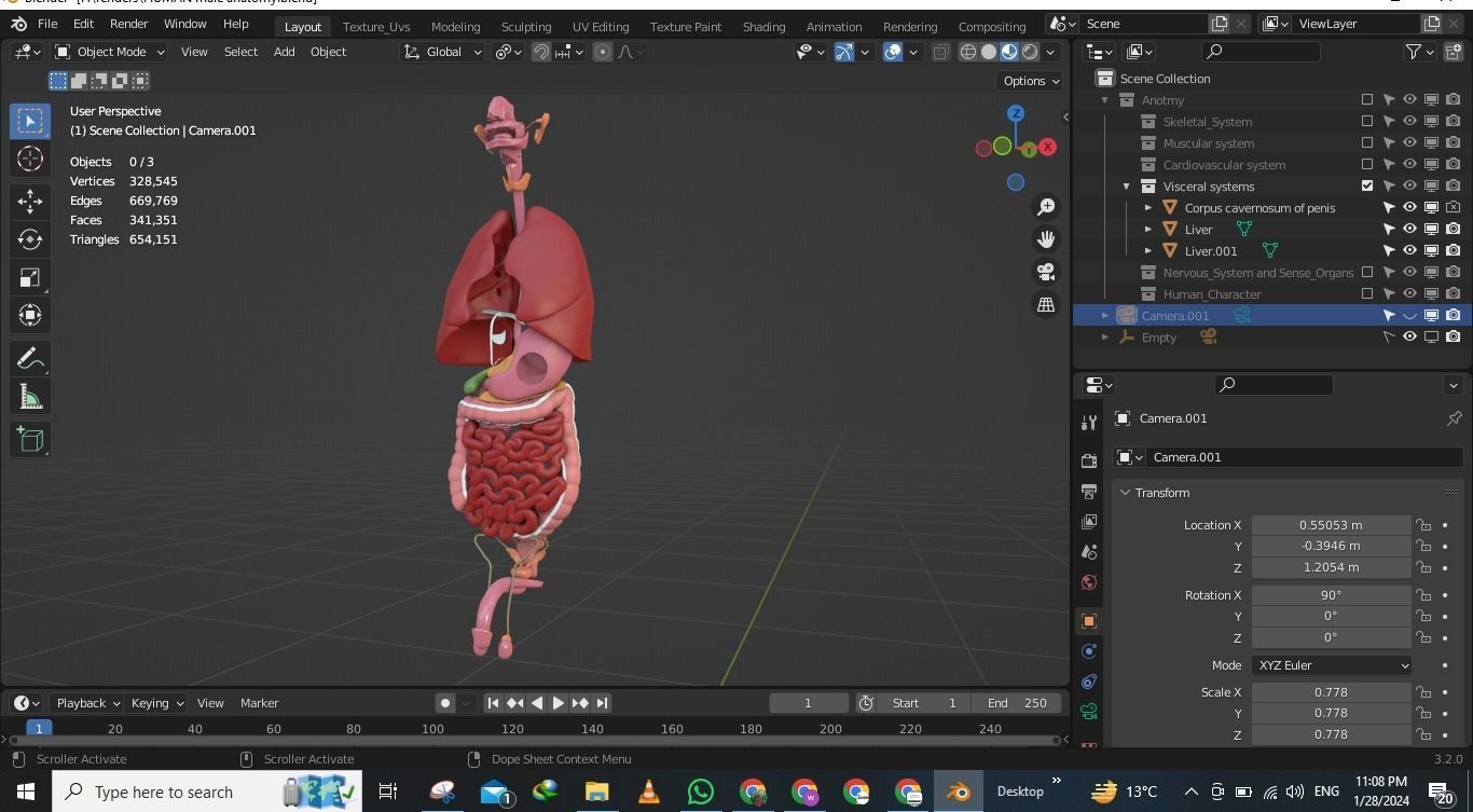 Human male internal organs 3d model 3D model_4