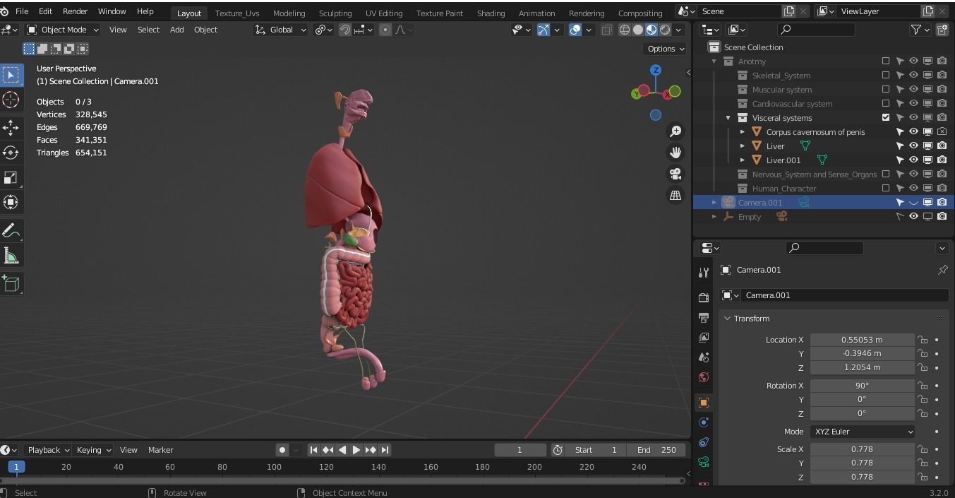 Human male internal organs 3d model 3D model_6