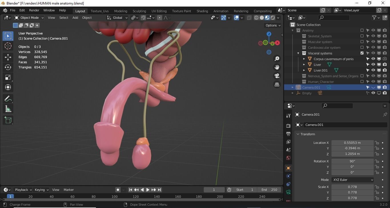 Human male internal organs 3d model 3D model_9