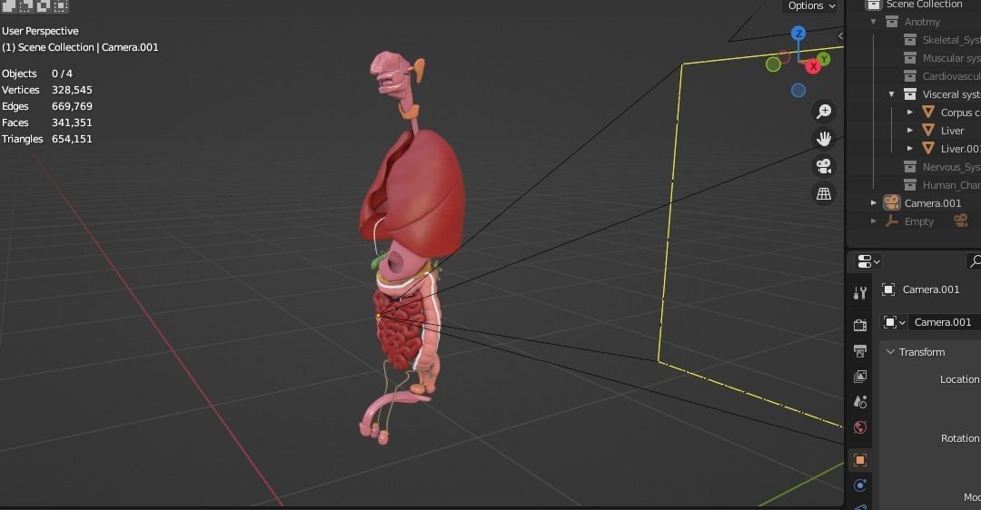Human male internal organs 3d model 3D model_16