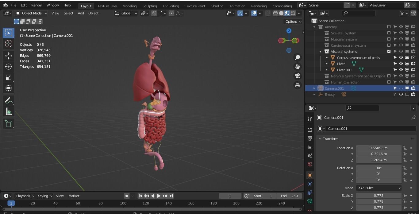 Human male internal organs 3d model 3D model_8