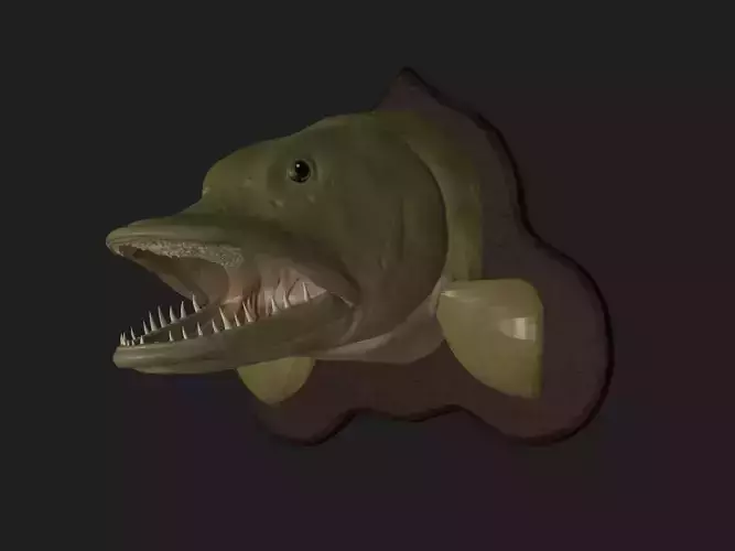 PIKE HEAD DETAILED TEXTURE TROPHY TAXIDERMY FOR 3D PRINTING Free 3D print model