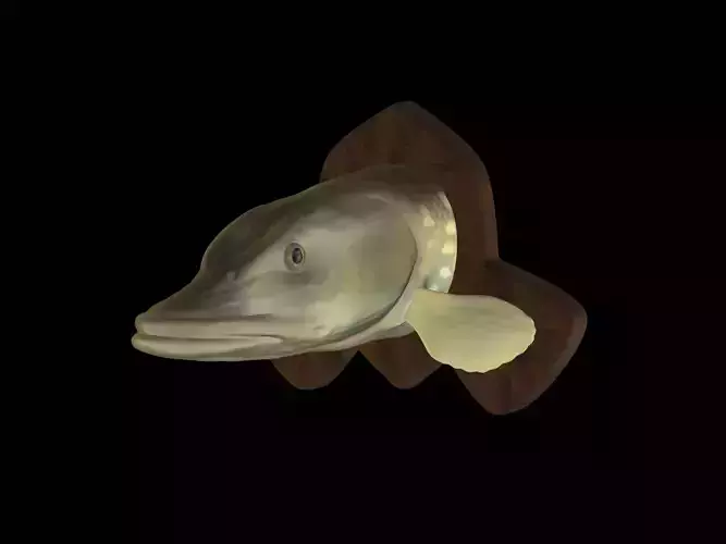 PIKE DETAILED TEXTURE TROPHY TAXIDERMY FOR 3D  PRINTING 3D print model