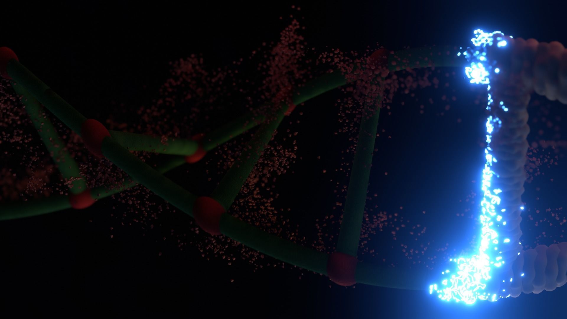 DNA Animation And Model 2024 3D model_2