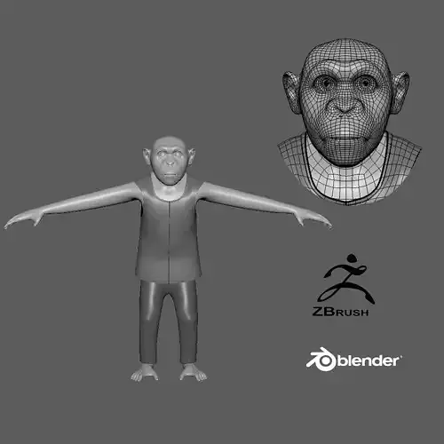  Cartoon Monkey- base mesh