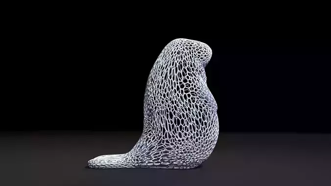Manatee 3D print model