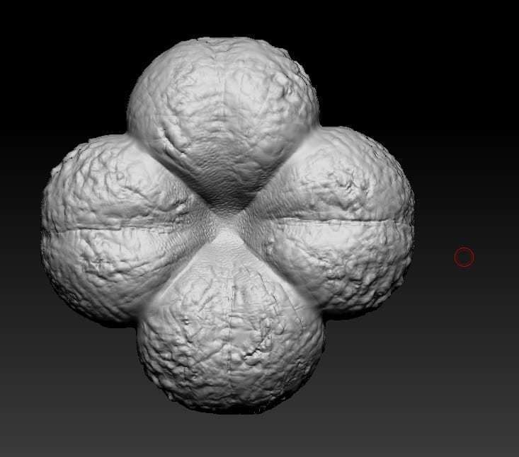 flower model 3D print model_2