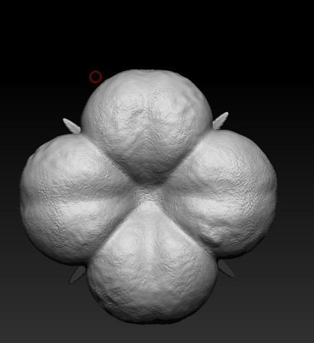 flower model 3D print model_5