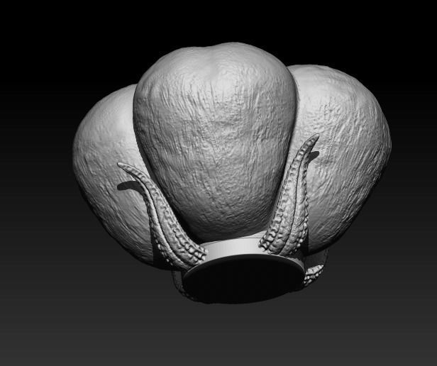 flower model 3D print model_4