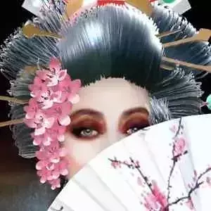 Geisha Model Hair and accessories 