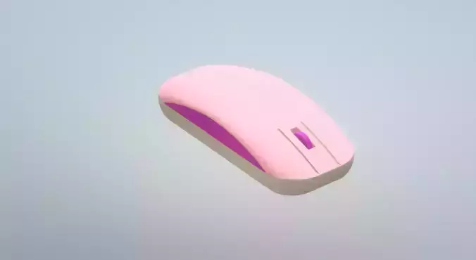 Computer Mouse
