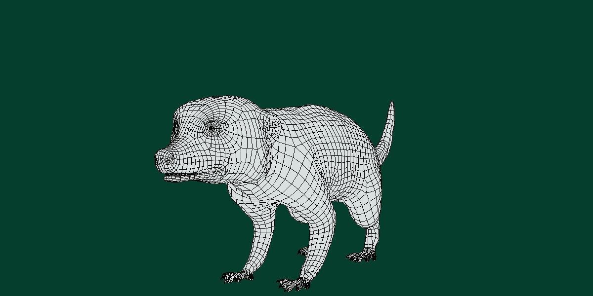 Slender Tailed Meerkat Mongoose 3D model_12