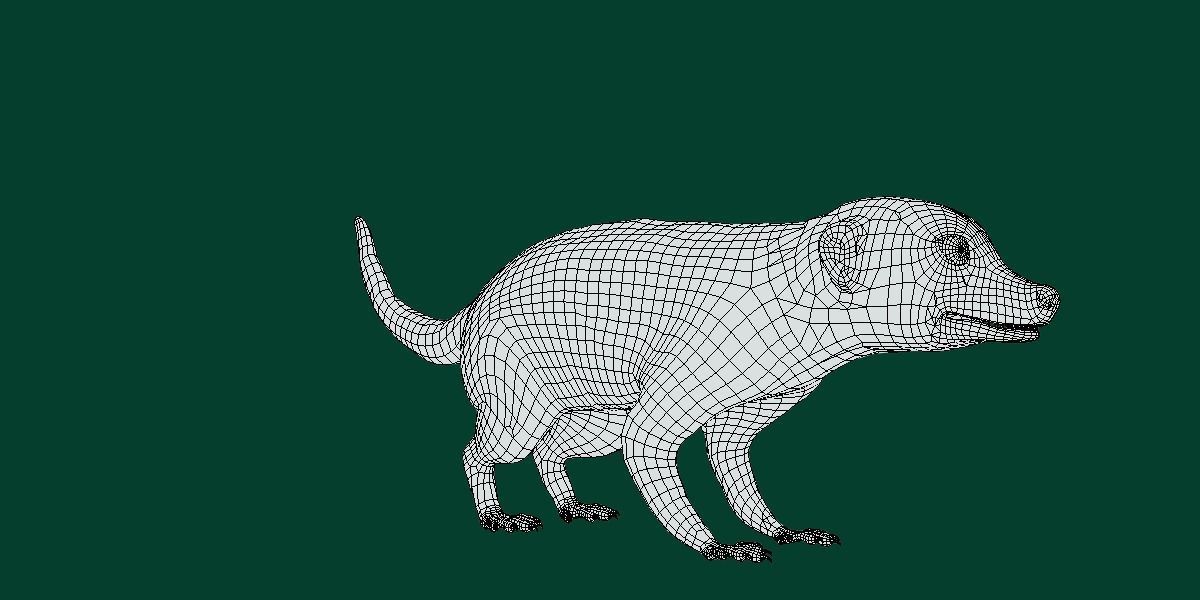 Slender Tailed Meerkat Mongoose 3D model_11