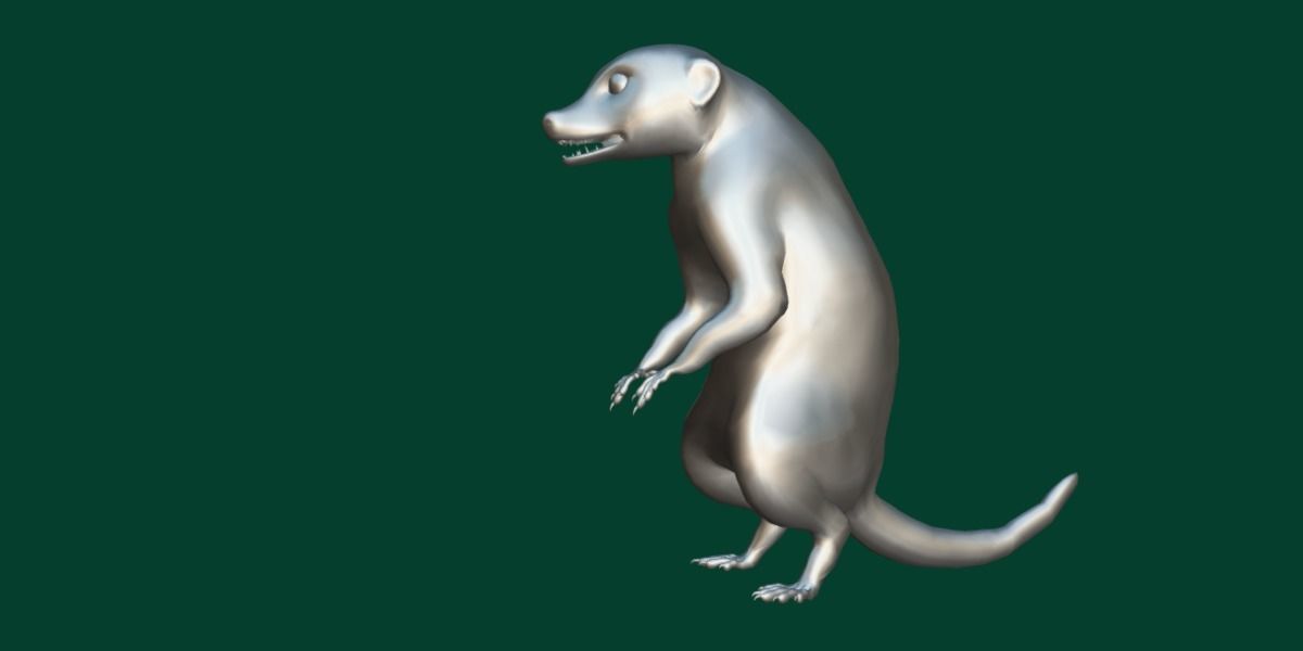 Slender Tailed Meerkat Mongoose 3D model_9